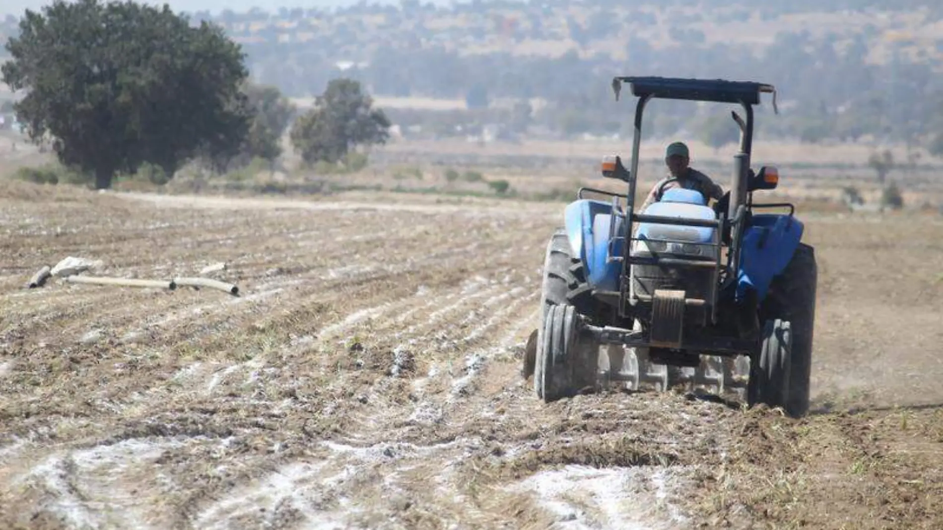 Campo, campesinos, siembra